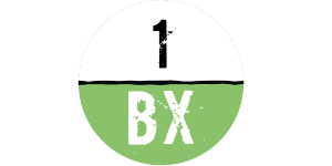 1BX.host