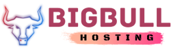 BigbullHost India