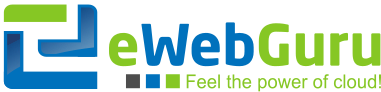 eWebGuru