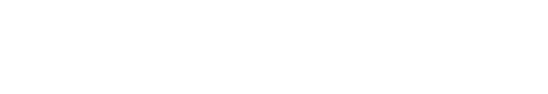 Saigon Telecommunications Technology Solutions Company Limited