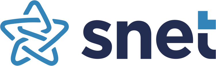 Snet Hosting ve Sunucu Hizmetleri