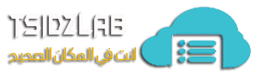 Tsidzlab