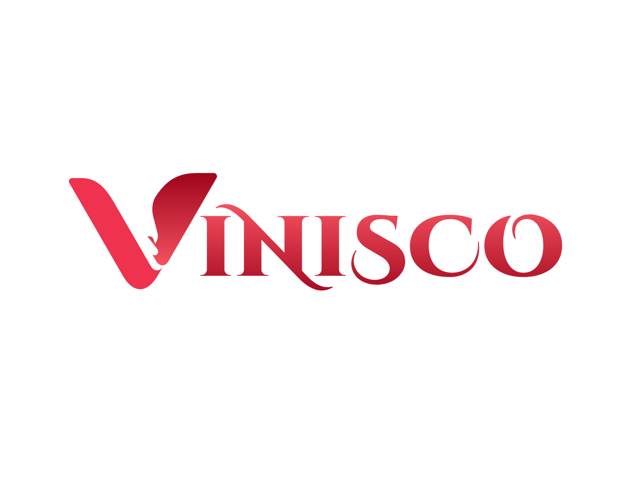Vinisco Hosting Solutions